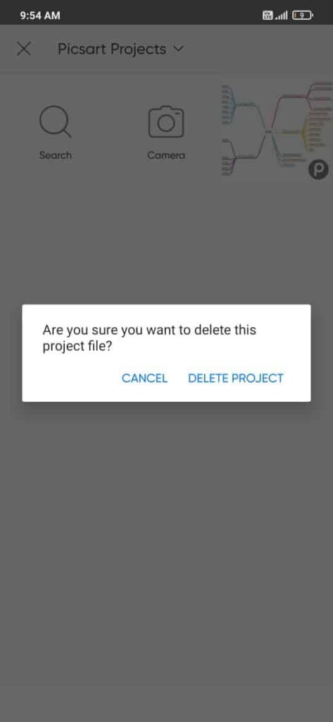 Tap on the Delete option to initiate deleting the project on picsart